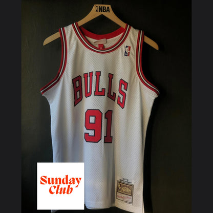 Dennis Rodman 1995-1996 HWC - Mitchell & Ness